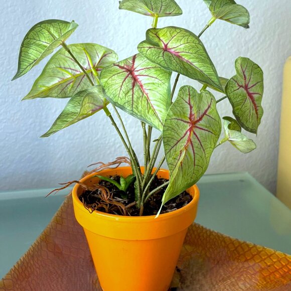 10" Tall Realistic Faux Red & Green Variegated Caladium Plant Plants Vase Accent - Picture 6 of 8